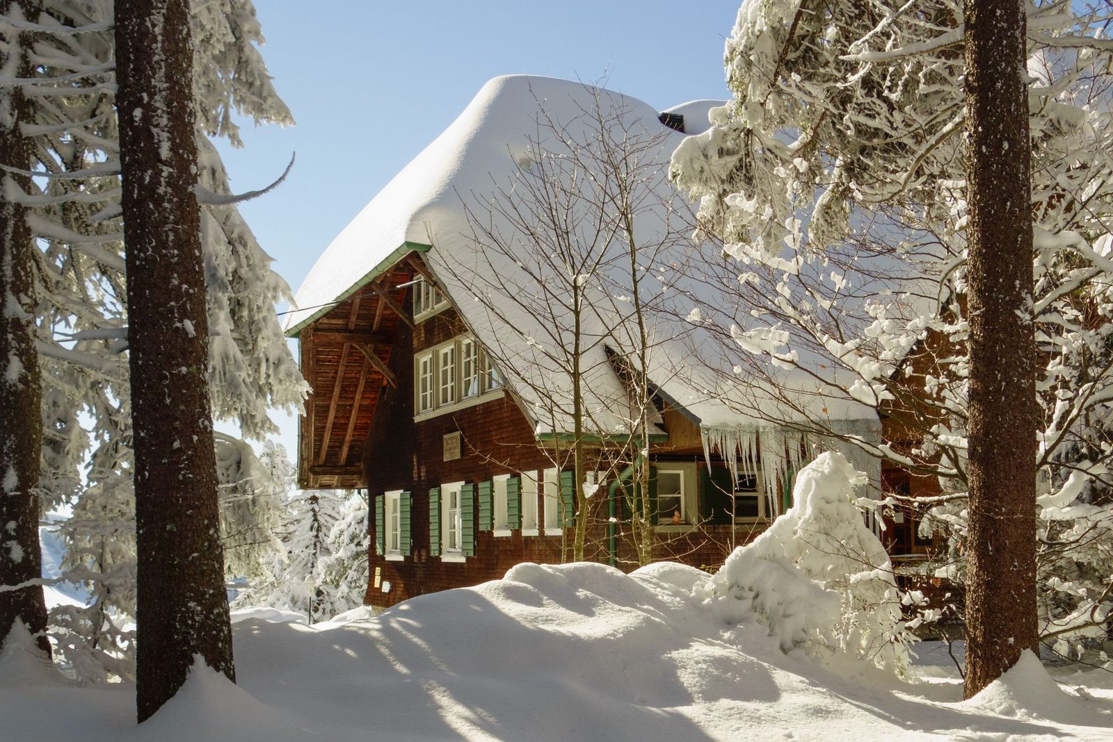 A timber cabin in winter woods