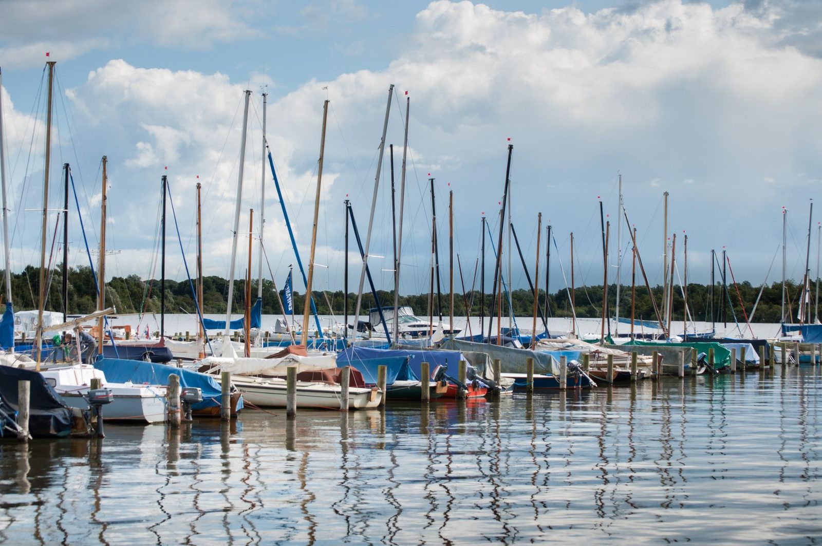Boat slips at a bayside marina